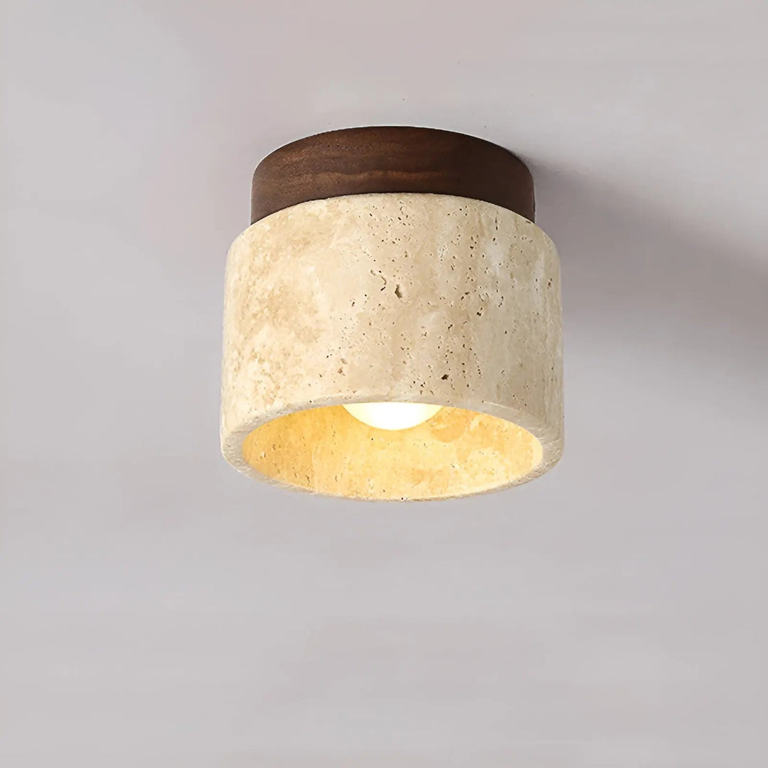 Rustic LED ceiling lamp